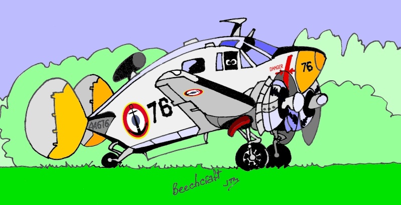 beechc10.jpg