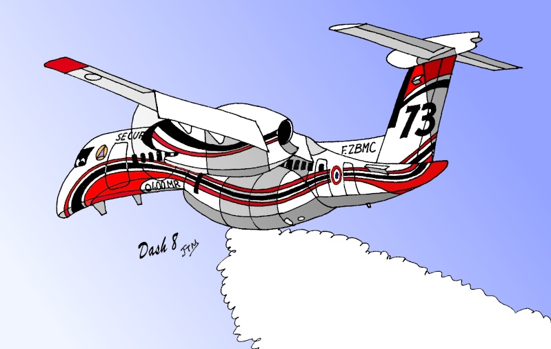 dash_810.jpg