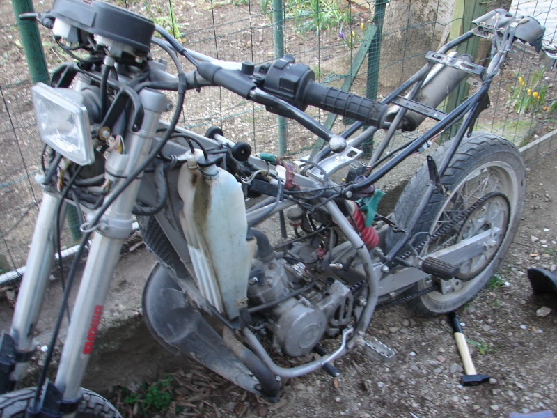 dsc07510.jpg