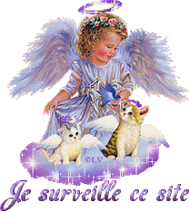 Image hébergée par servimg.com