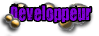 Développeur Développeur