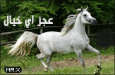 حصان حصان