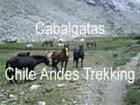 
Conéctate directamente con Chile Andes Trekking 
