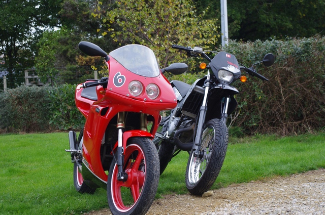 510.jpg