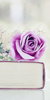 Pas de nouveaux messages Pas de nouveaux messages
