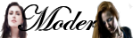 Modérateur Modérateur