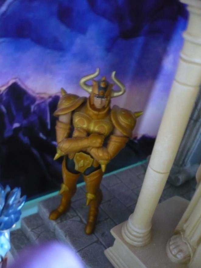 taurea10.jpg