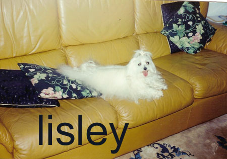 lisley10.jpg