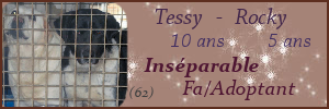 tessy-10.png