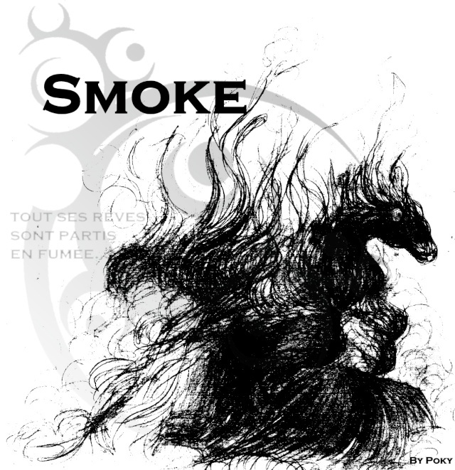 smoke110.jpg