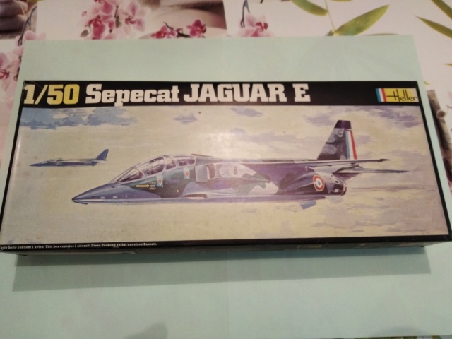 jaguar24.jpg