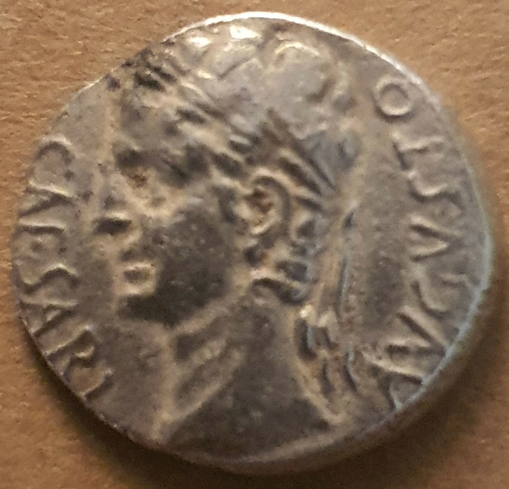 denari13.jpg